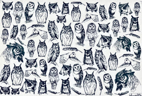 Owls - Underglaze Transfer Sheet - You Choose Color