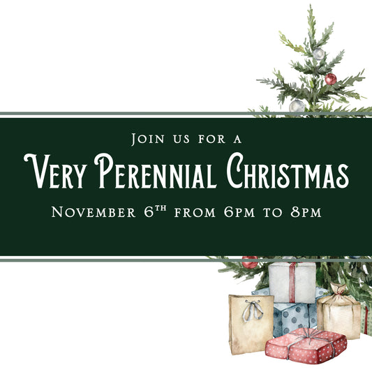 VIP Christmas Preview Ticket 2026