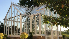 Royal Antique Orangerie Greenhouse