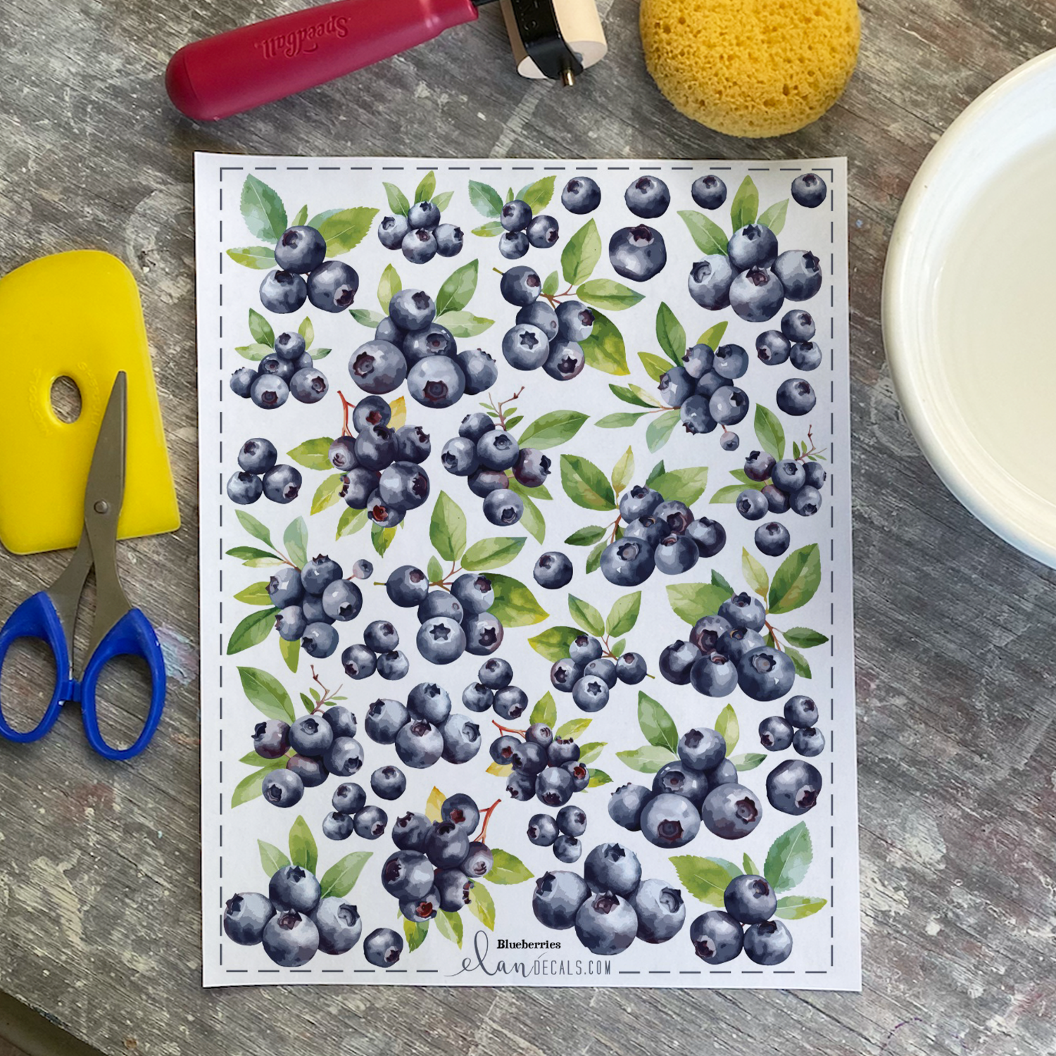 Blueberries - Overglaze Decal Sheet