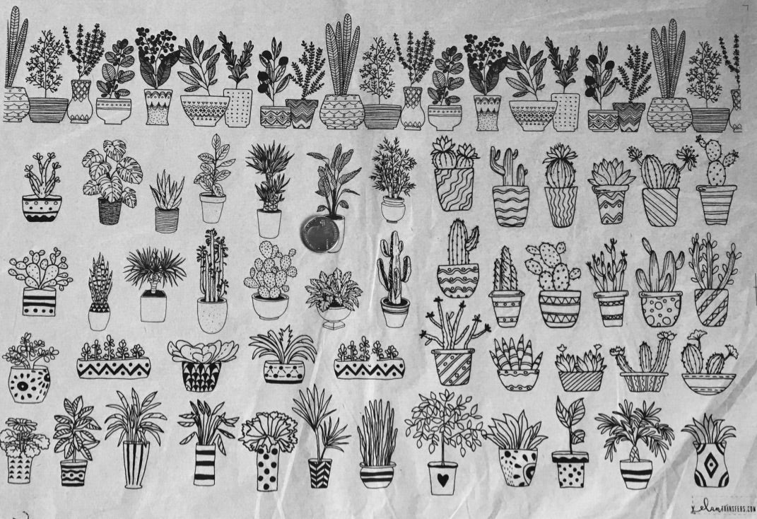 Potted Plants - Underglaze Transfer Sheet - You Choose Color