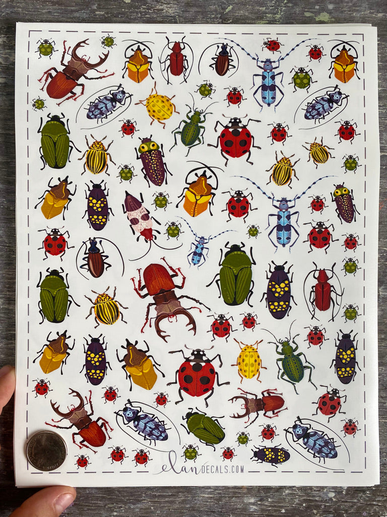 Beetles - Overglaze Decal Sheet