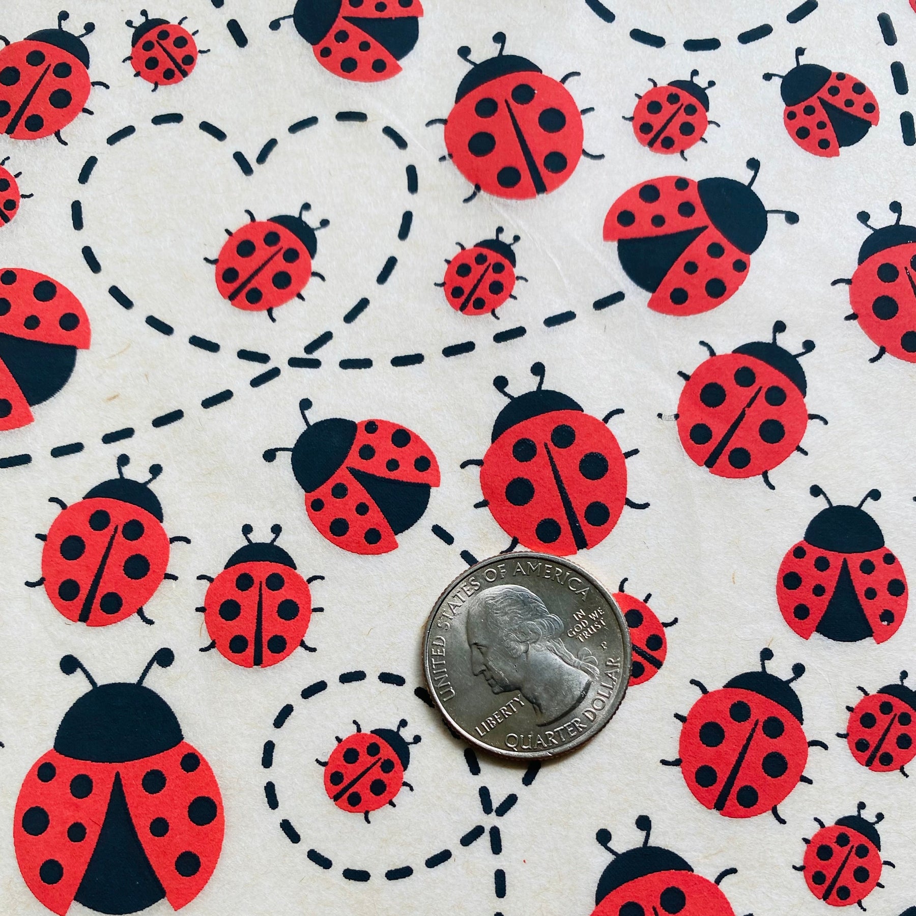 Lady Bugs - Underglaze Transfer Sheet - Multi Colored