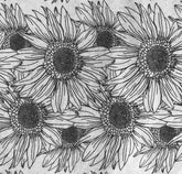 Sunflower Border - Underglaze Transfer Sheet