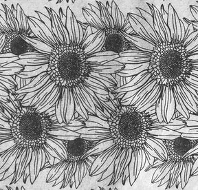 Sunflower Border - Underglaze Transfer Sheet - You Choose Color