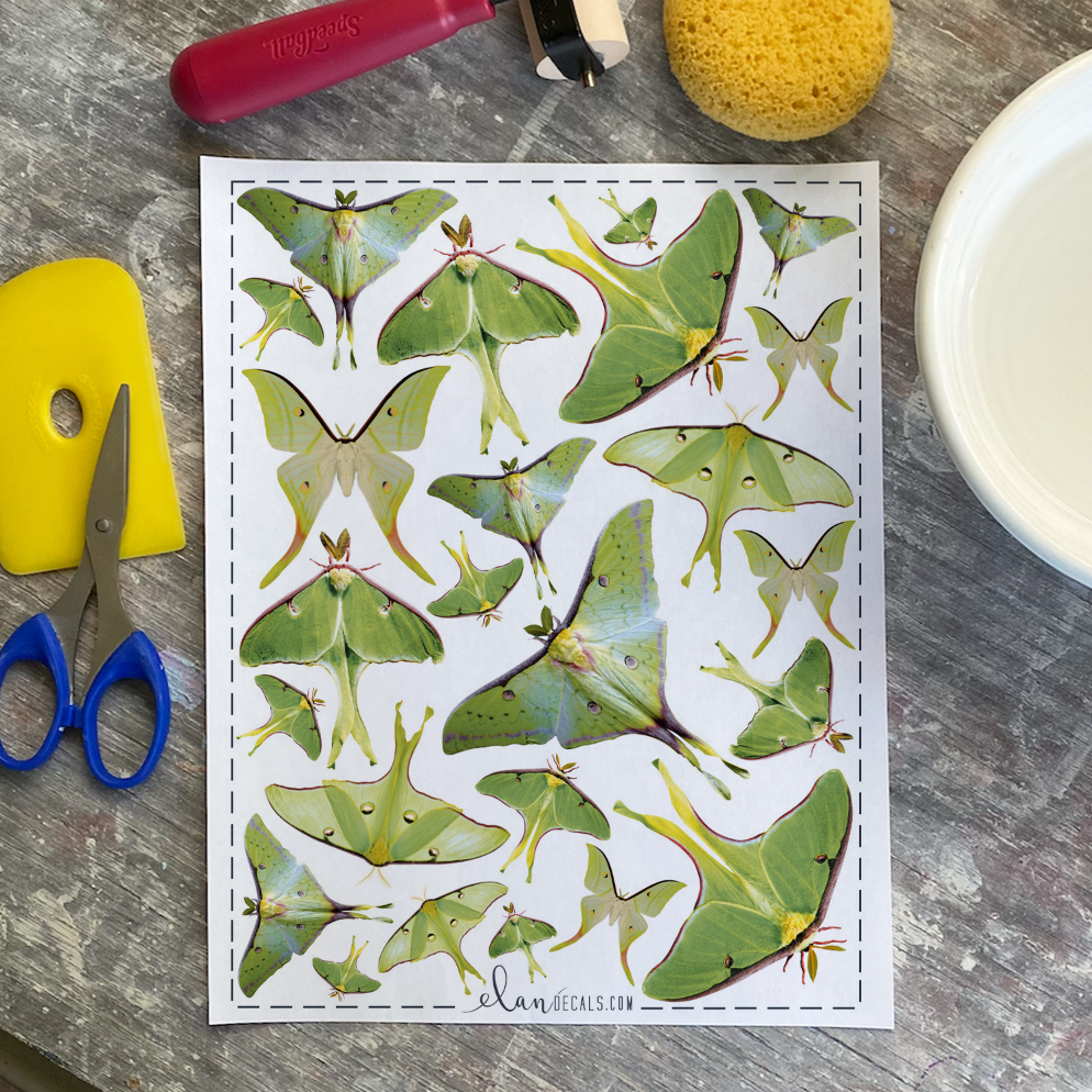 Luna Moth from Photo - Overglaze Decal Sheet