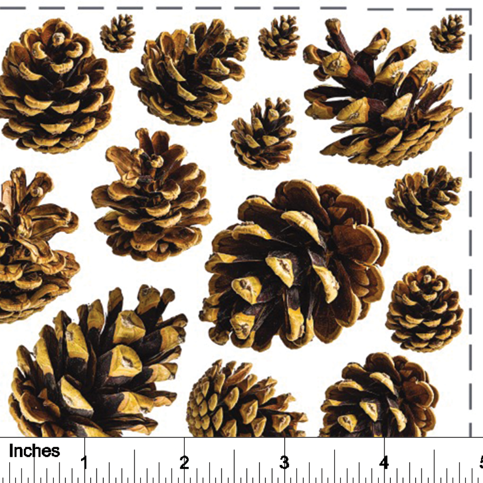 Pinecones - Overglaze Decal Sheet