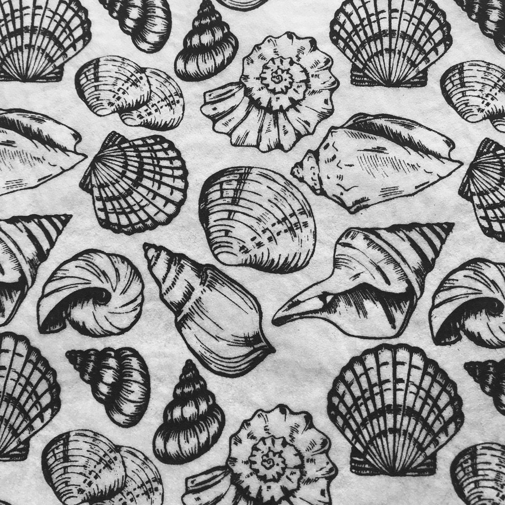 Shells Multi - Underglaze Transfer Sheet - Black