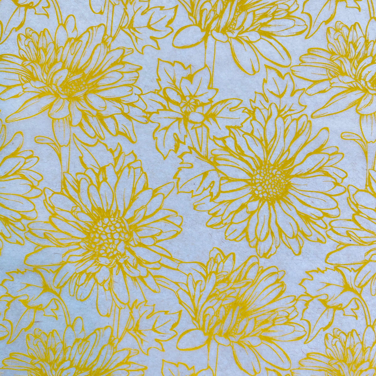 Daisy - Underglaze Transfer Sheet - You Choose Color