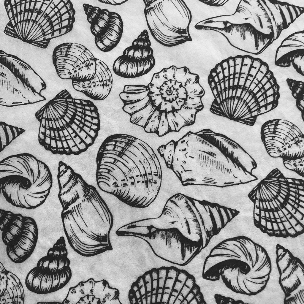 Shells Multi - Underglaze Transfer Sheet - Black